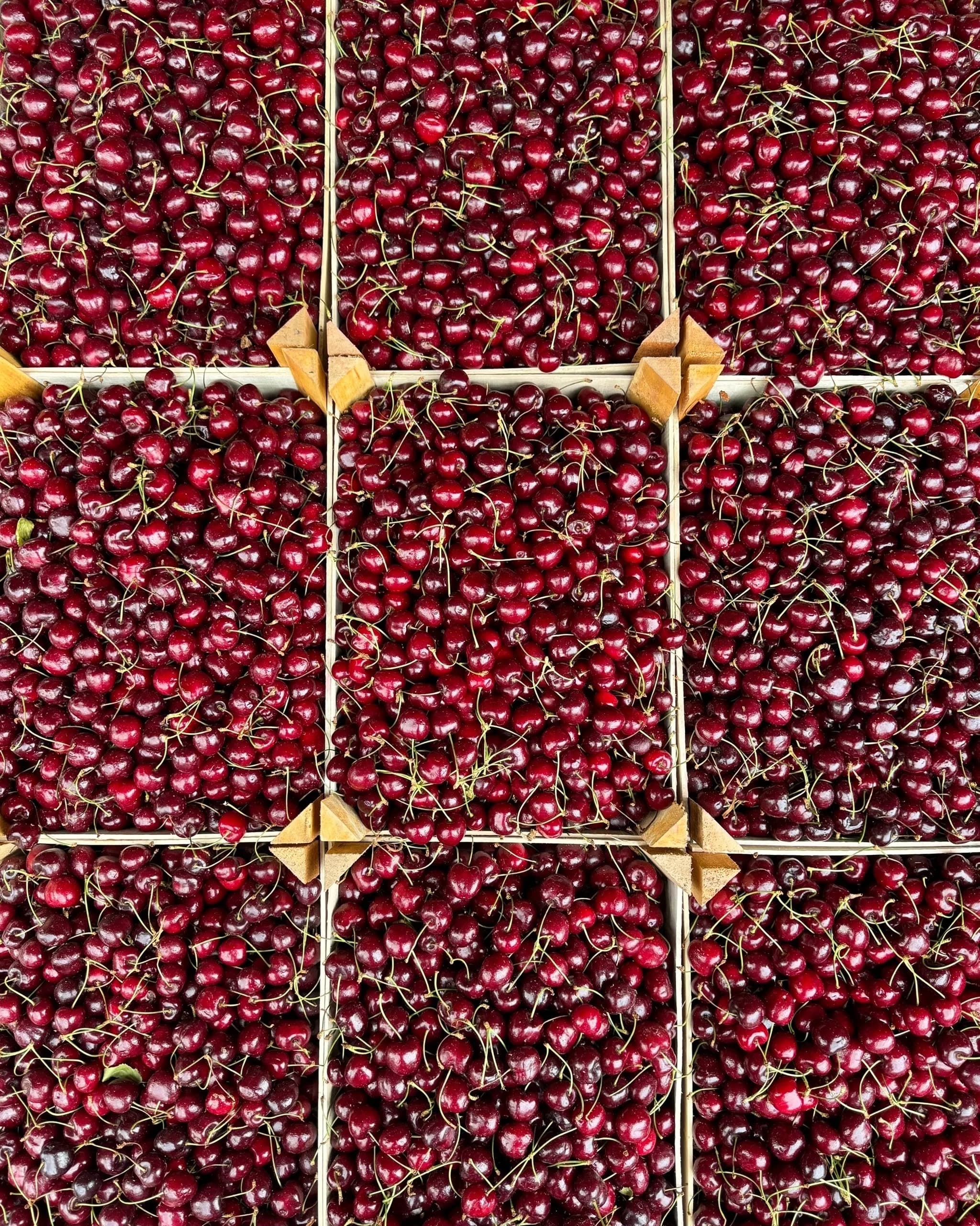 Черешня — фото 2