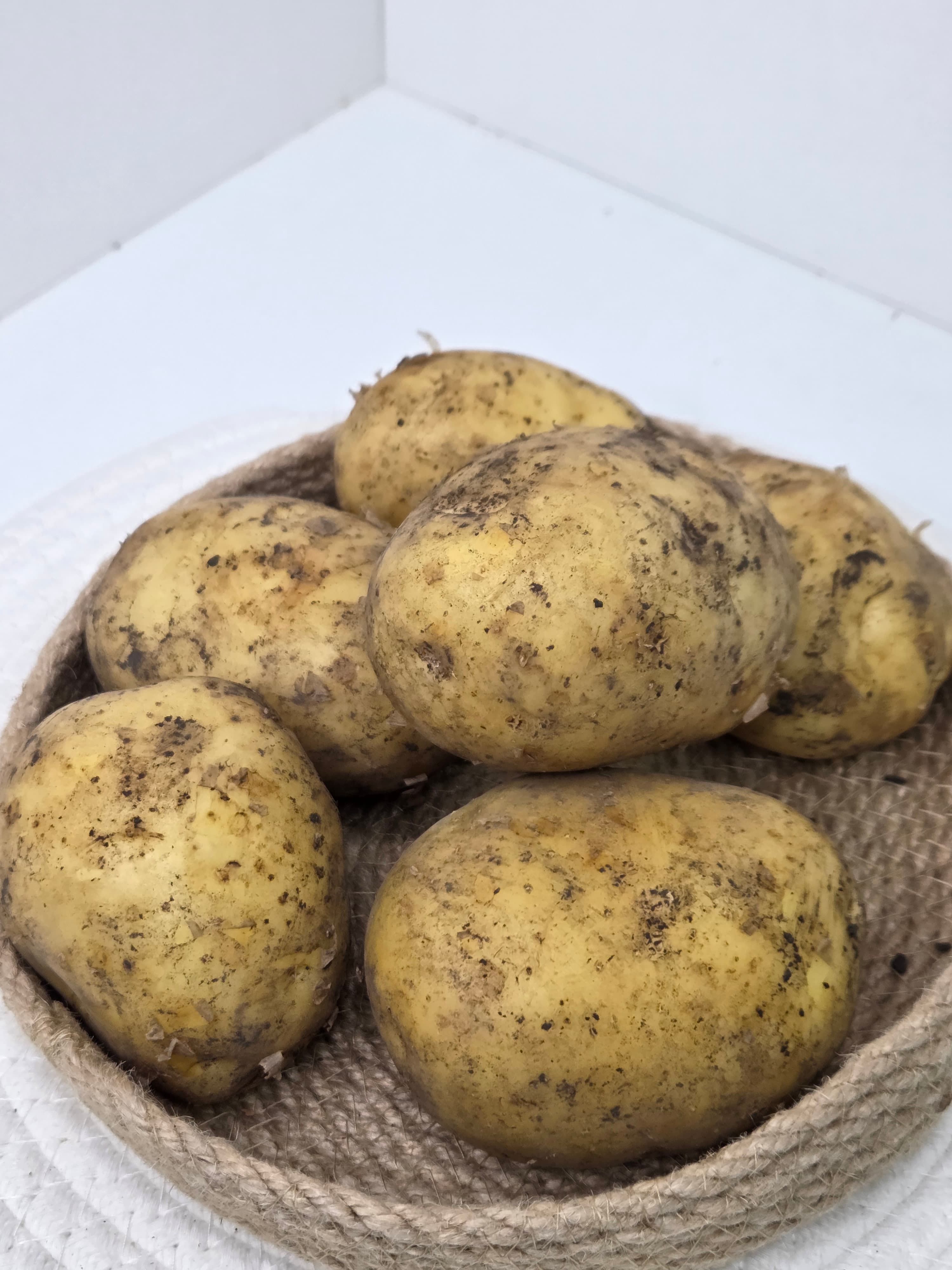 Картофель белый